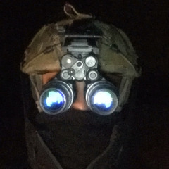 Björnulf