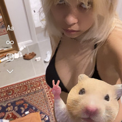 mausi243
