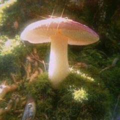 .Unknown