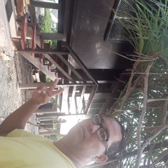 tapi punaa