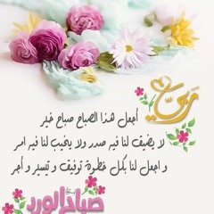 Nahed Saleh