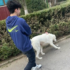 Tomaa11