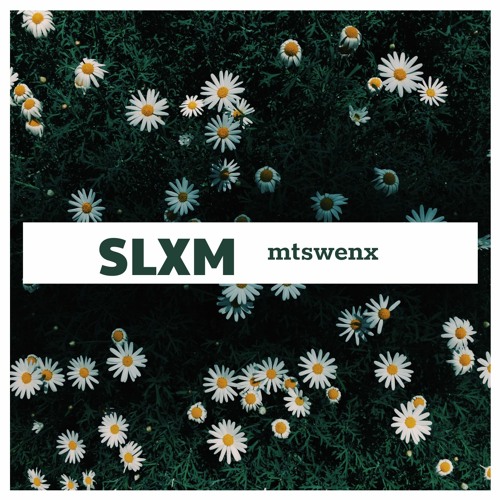 SLXM mtswenx’s avatar