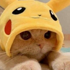 Kitty Pikachu