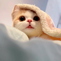 Mẫn Đỗ