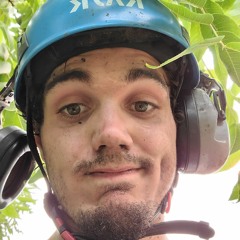 Mushbrain