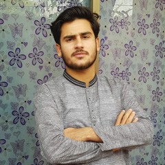 Hamza Naveed