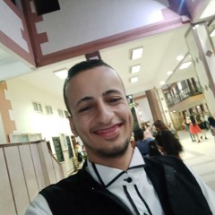 مايكل الروش