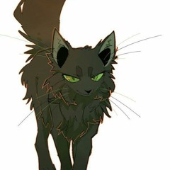 Hollyleaf Is the Queen 👑
