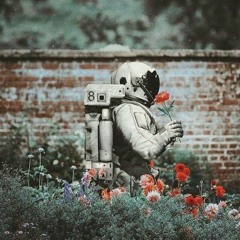 فردین باجولوند