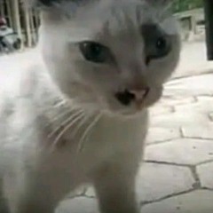 ivano