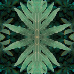 euphoricaspects