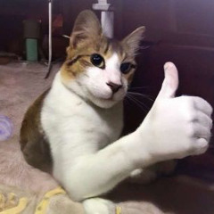 엽동인데요