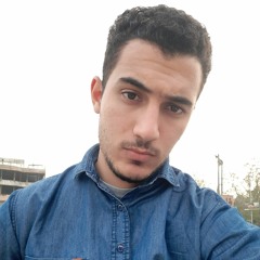 Ebrahim M. AbdelAziz