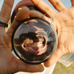 try to say the important thing