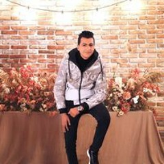 محمد حمدي