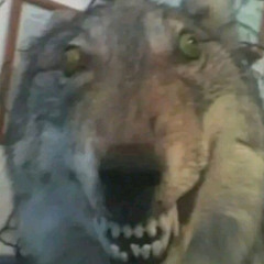 Маруся гуль