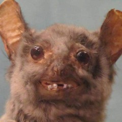 Vonzeq