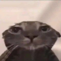 smxkebrxke