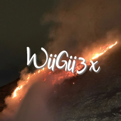 WiiGii 3x