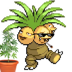 Leaf.Hermit