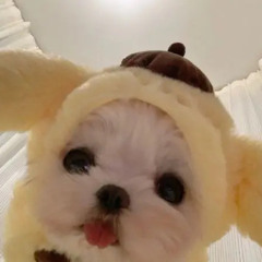 이채린