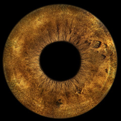 ieyei