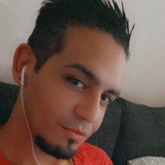 Javier L Faundez