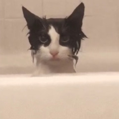 huongcute