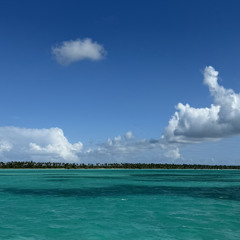 ouaislea