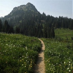 _Ss91