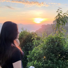 thanh vânn