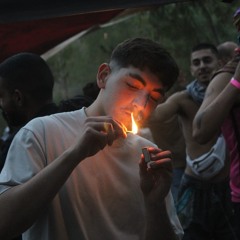 דניאל אביטל