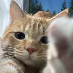 유진