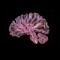 brainjuice