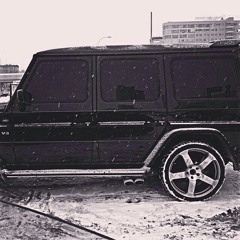 Владимир Николаев