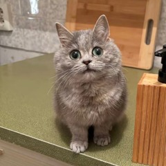 вампирша🩸