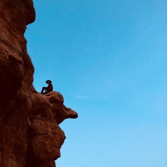 Le Wanderer