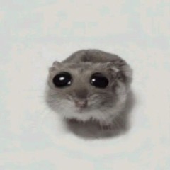 Hamstery