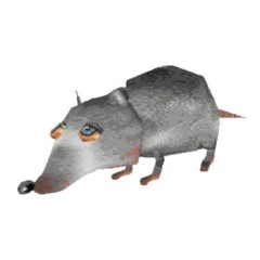 NikkosikkiN