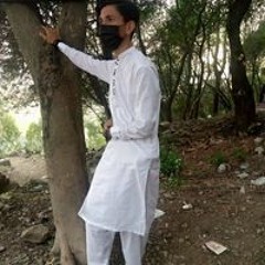 Rehan Ali