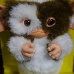 momonga