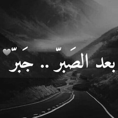 محمد محمود