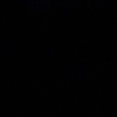 nightfly