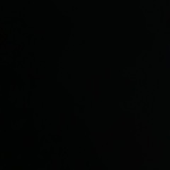 IDM