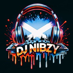 The Official Dj Nibzy