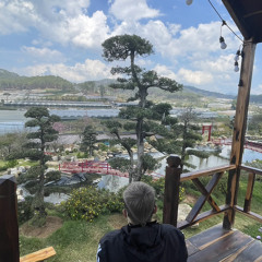 Võ Đình Phong