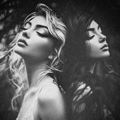 The Miracle Syndicate