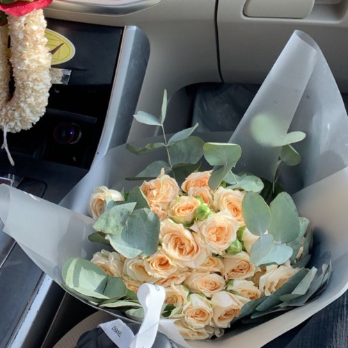 واستشهد أحمد ياسين