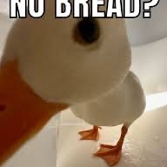 Ducky